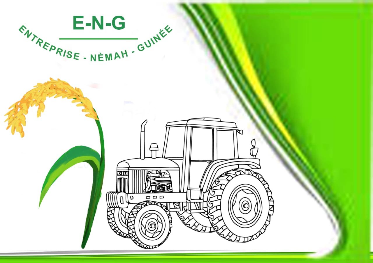 Logo NEMAH GUINEE